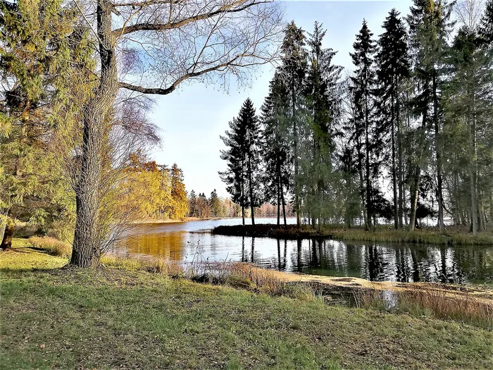 Гатчина