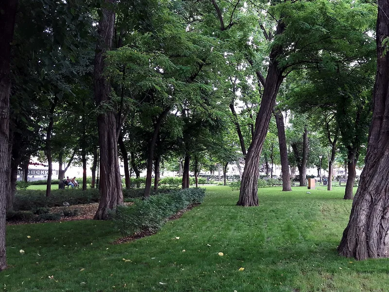 Краснодар