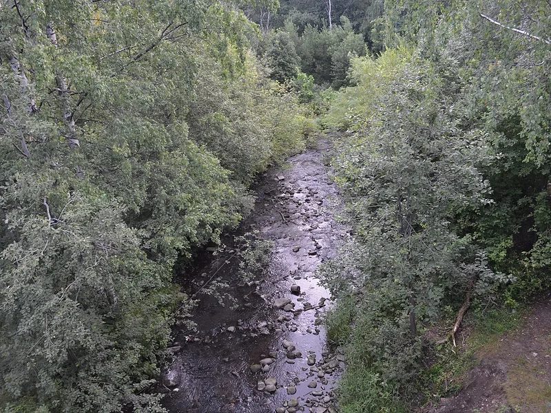 Парки Петрозаводска — Петрозаводск