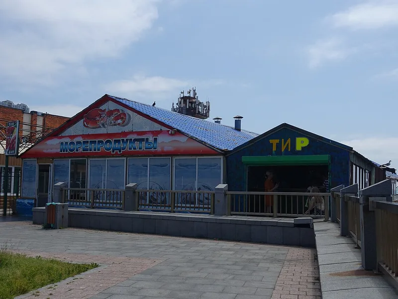 Архитектура Владивостока — Владивосток